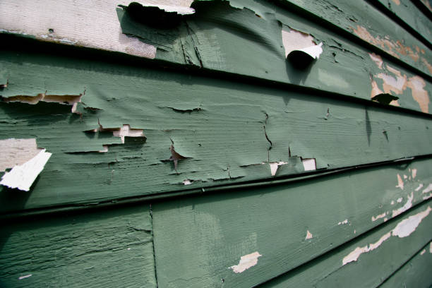 Best Commercial Junk Removal  in Picayune, MS