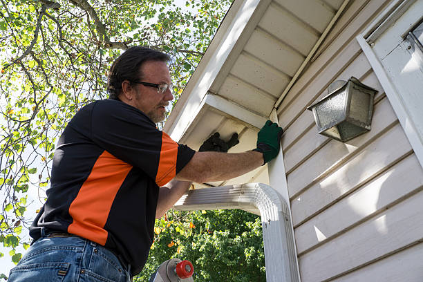 Best Demolition Debris Removal  in Picayune, MS